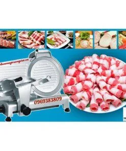 Máy thái thịt 250ES-10