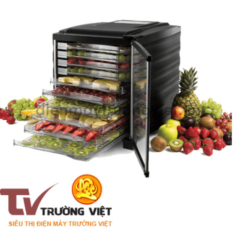 ĐIỆN MÁY TRƯỜNG VIỆT