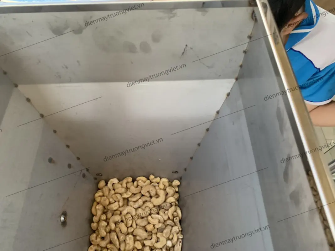 ĐIỆN MÁY TRƯỜNG VIỆT