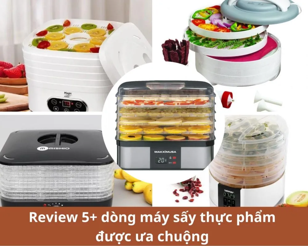 ĐIỆN MÁY TRƯỜNG VIỆT