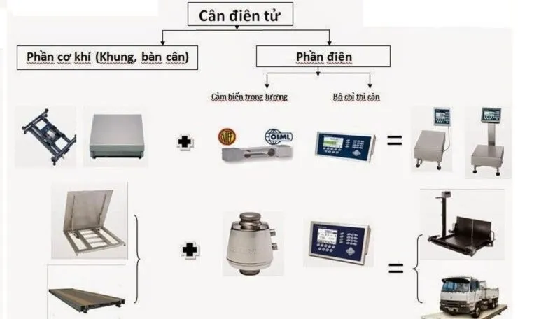 Cấu tạo cân điện tử chi tiết từ a-z cho người mới bắt đầu