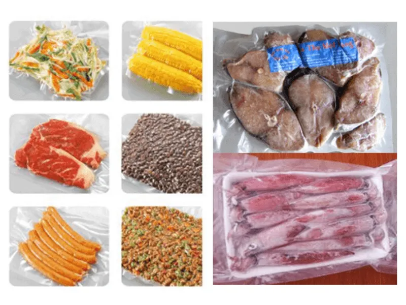 ĐIỆN MÁY TRƯỜNG VIỆT