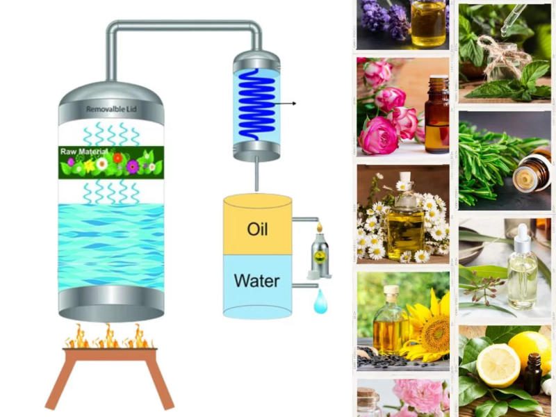 Phương pháp chưng cất hơi nước (Water Distillation)