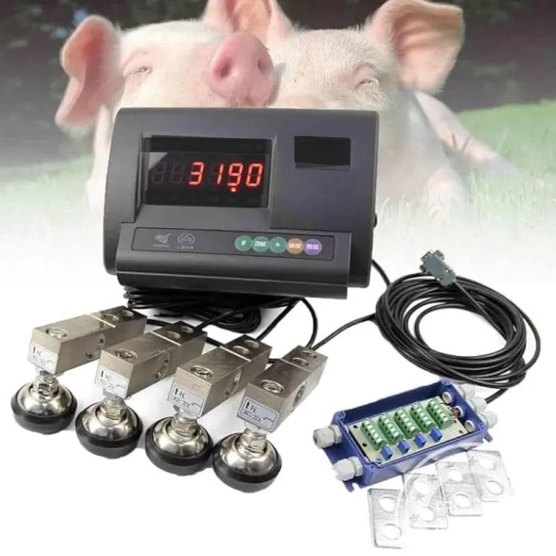 Đầu cân hiển thị (Indicator)