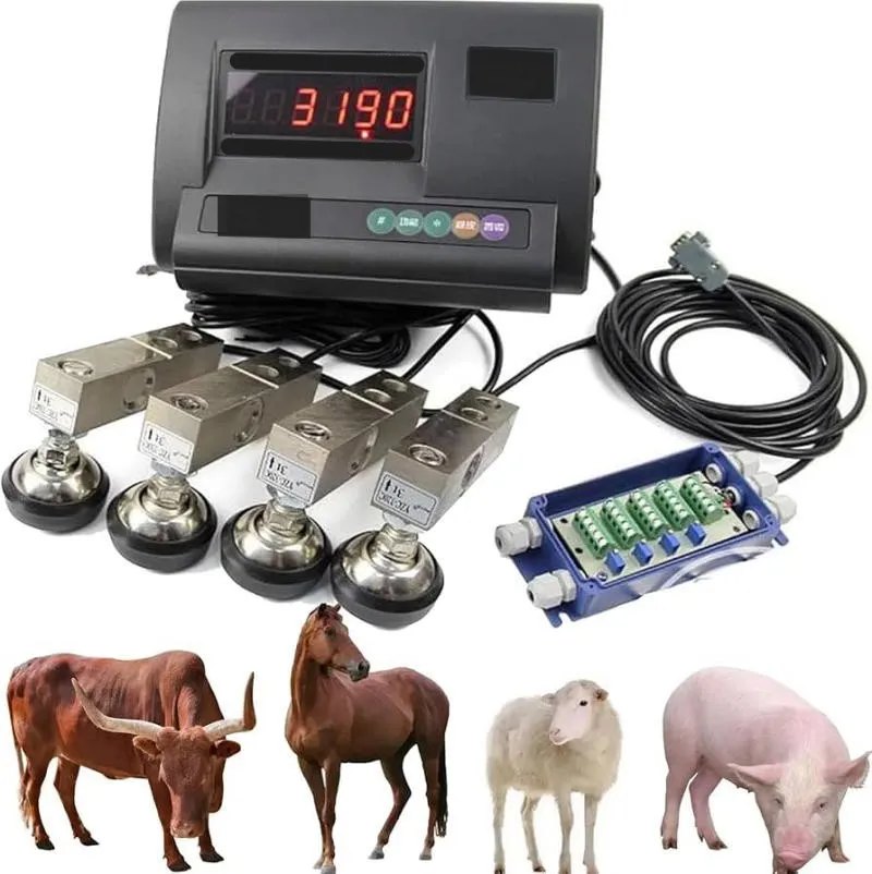 Đừng bỏ qua các tính năng thông minh